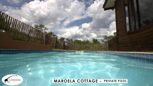 Photo of Others in Waterberg