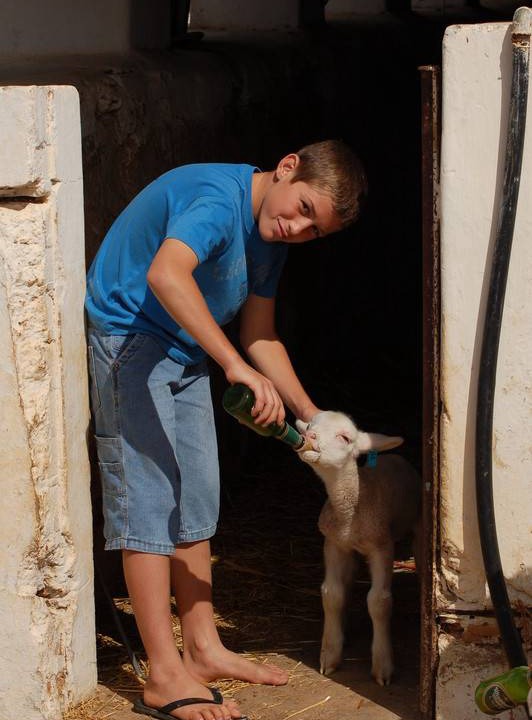Photo of Others in Swartland