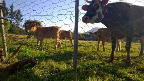 Photo of Others in Barrydale