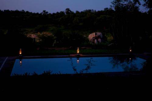 Photo of Others in Kruger National Park