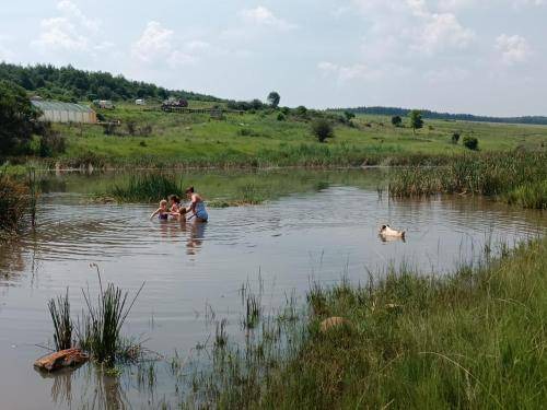 Photo of Others in Mkhondo