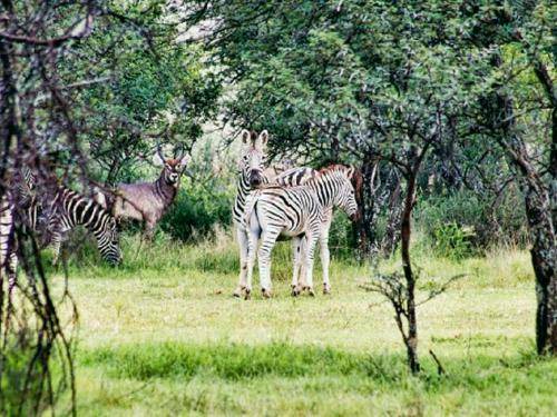 Photo of Others in Vredefort