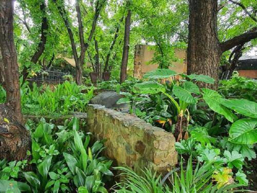 Photo of Others in Magaliesberg