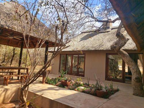 Photo of Others in Hoedspruit