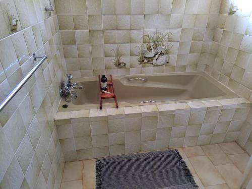 Photo of Bathroom in Graskop