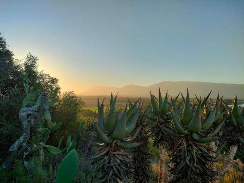 Photo of Outdoor in Swellendam