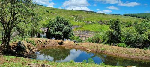 Photo of Others in Ligfontein