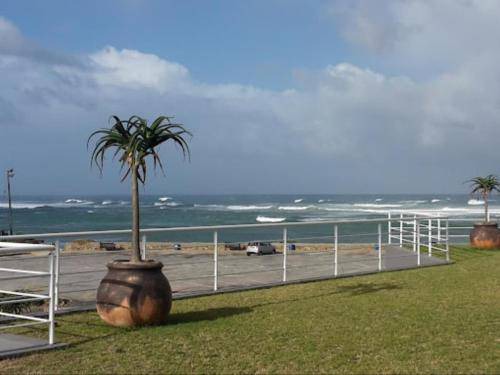 Photo of Others in Port Alfred