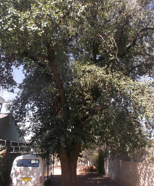 Photo of Outdoor in Philippolis