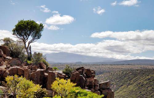 Photo of Others in Graaff-Reinet