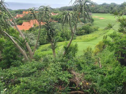 Photo of Others in Zimbali Coastal Estate