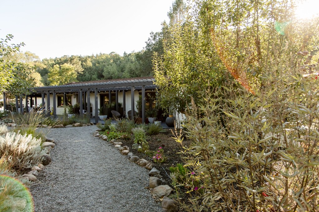 Photo of Buildings in Napa