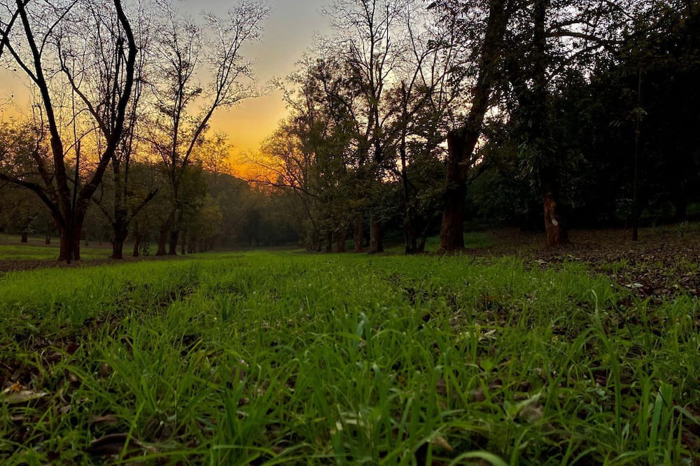 Photo of Outdoor in Louis Trichardt