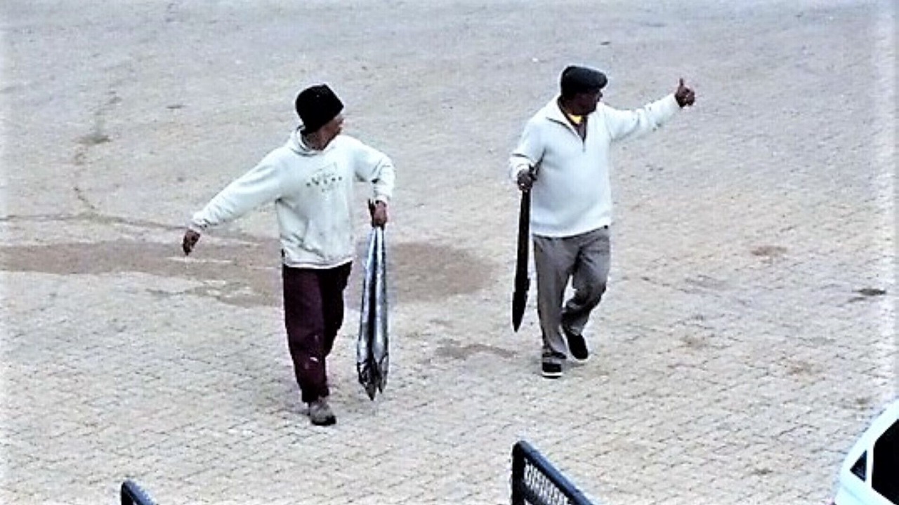 Photo of Others in Kleinmond