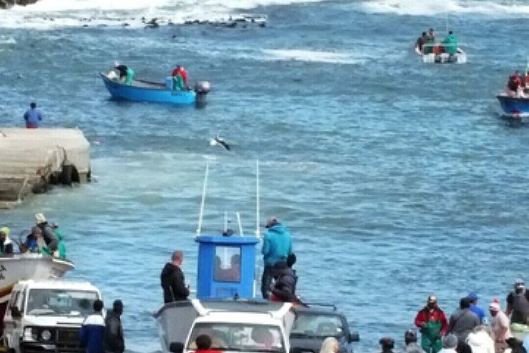 Photo of Others in Kleinmond
