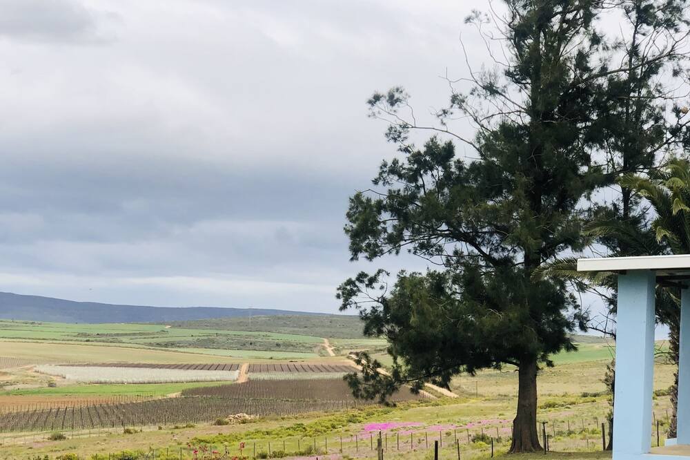 Photo of Others in Bonnievale