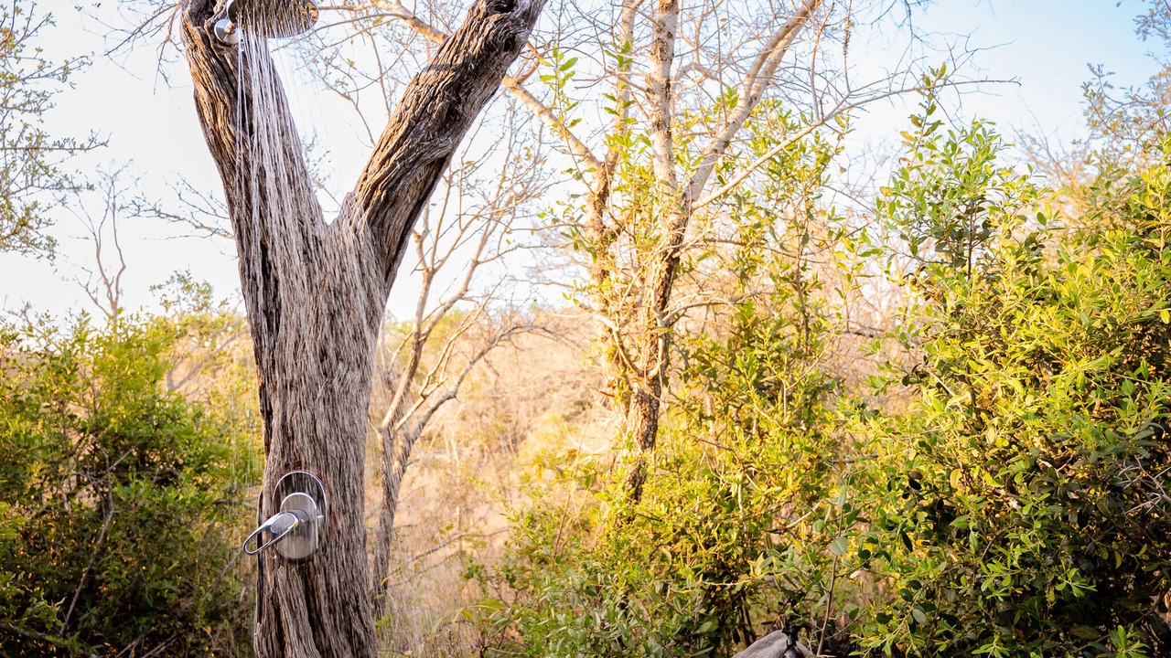 Photo of Bathroom in Hoedspruit