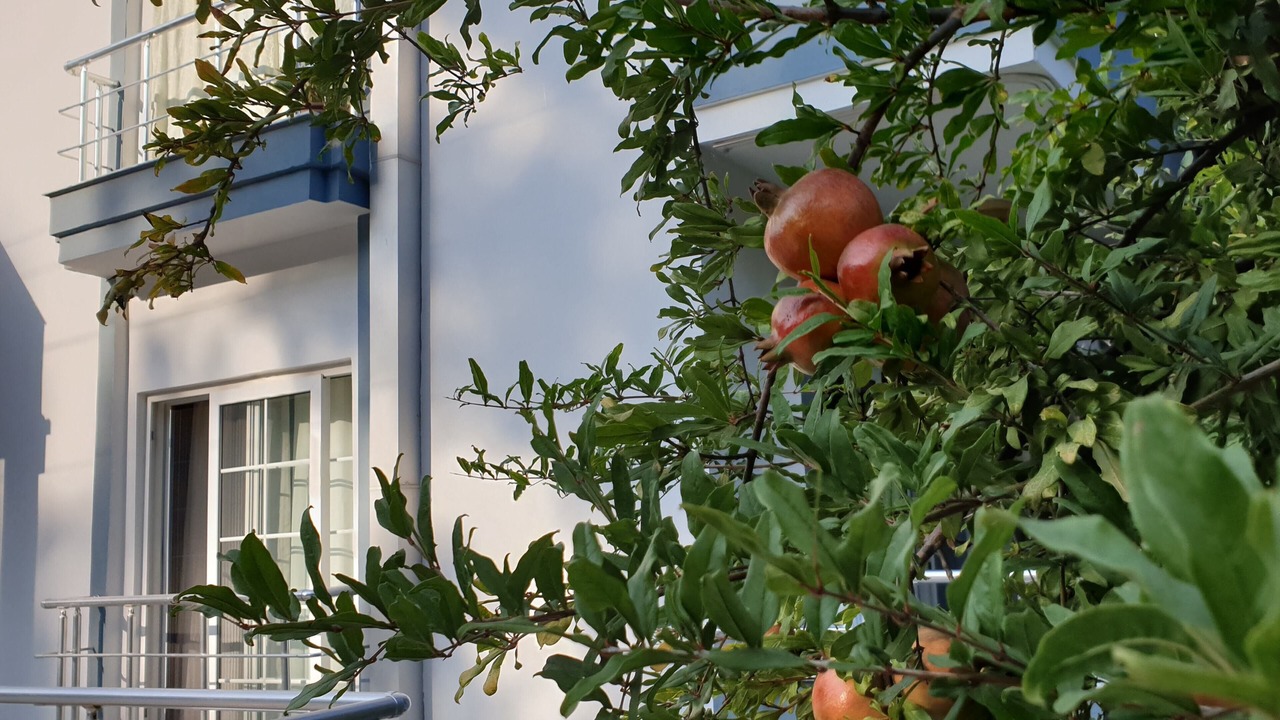 Photo of Outdoor in Kemer