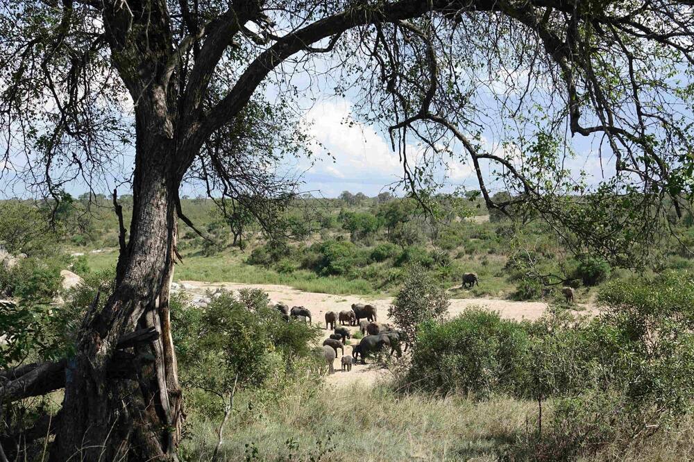 Photo of Outdoor in Hoedspruit