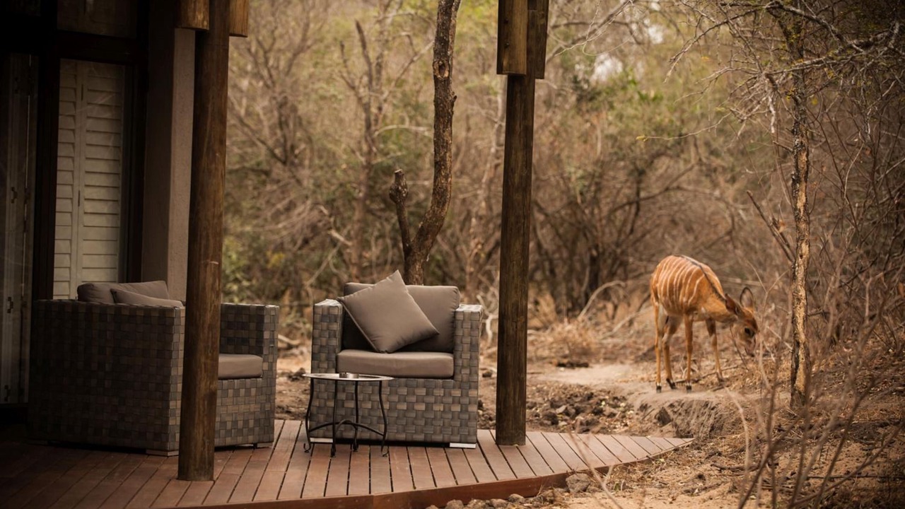 Photo of Patio Balcony in Thorny Bush Game Reserve