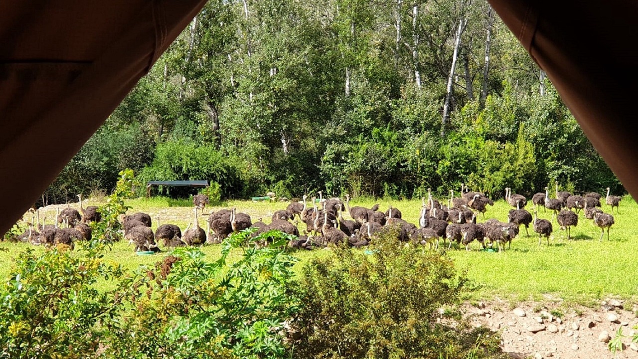 Photo of Outdoor in Schoemanshoek