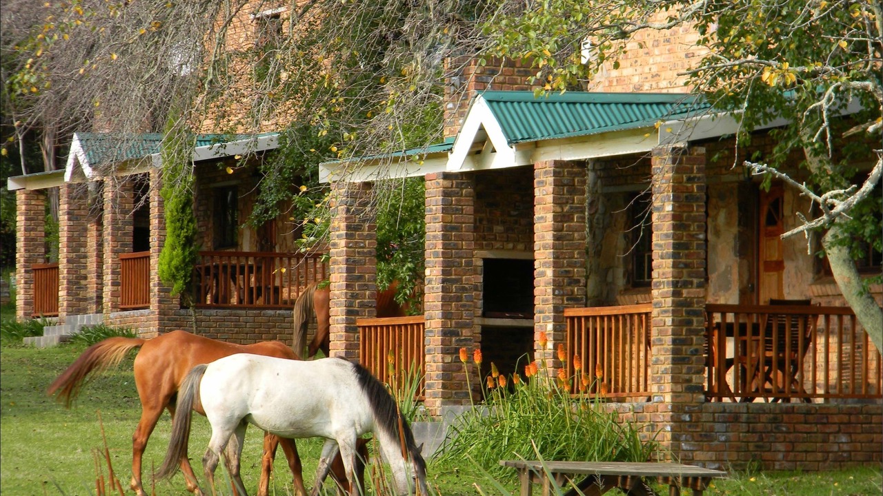 Photo of Outdoor in Dullstroom