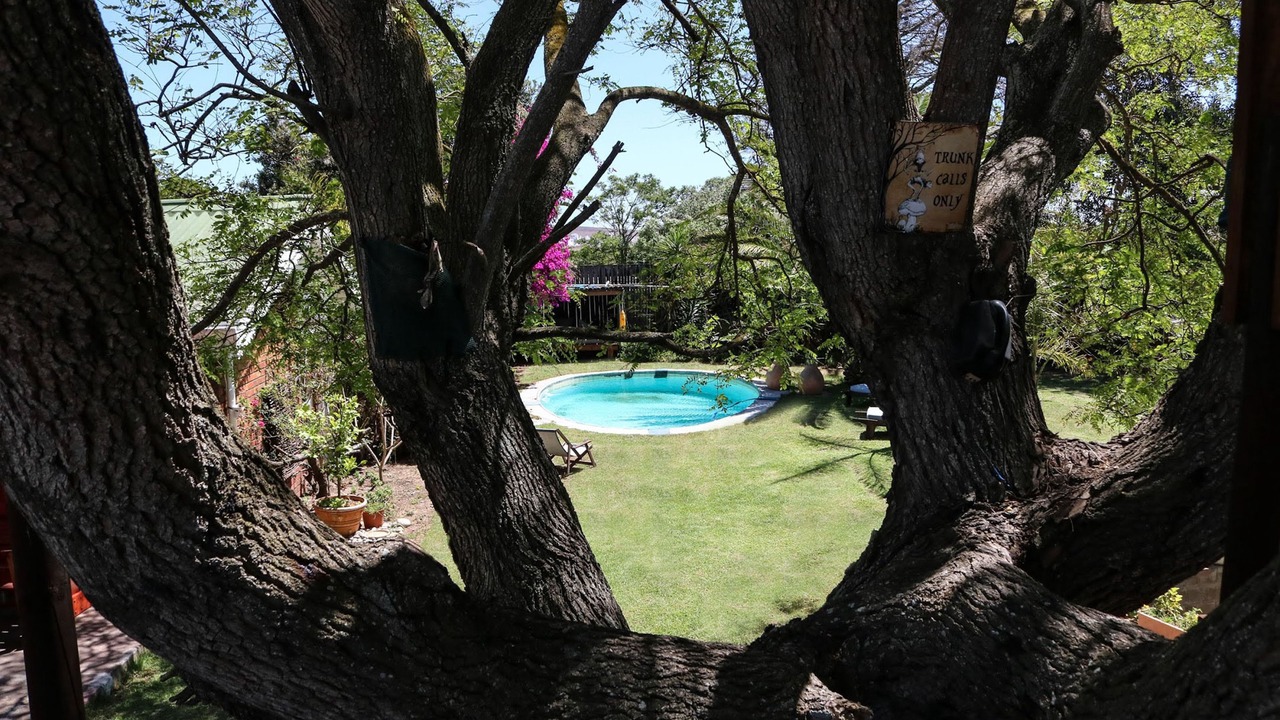 Photo of Outdoor in Shelley Point