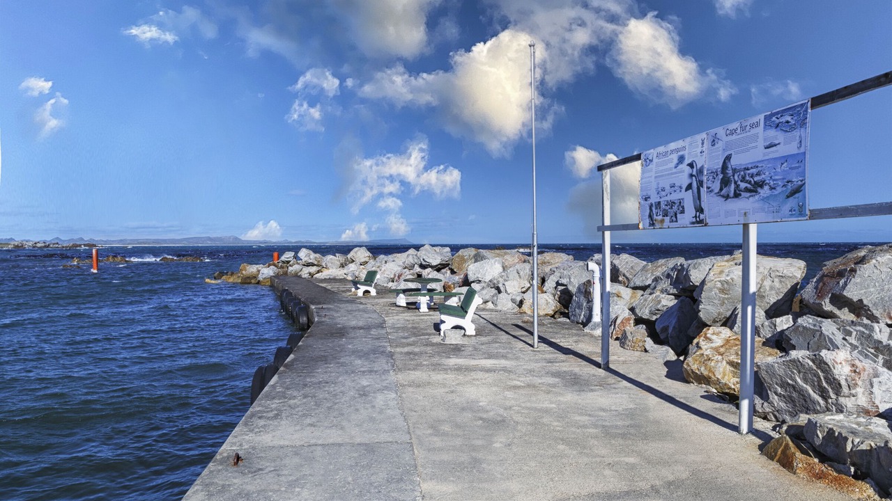 Photo of Others in Van Dyks Bay