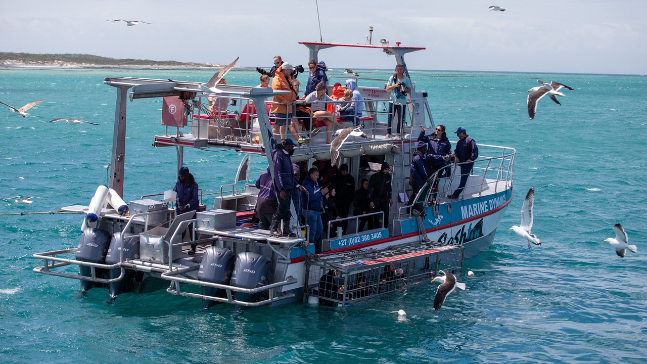 Photo of Others in Van Dyks Bay