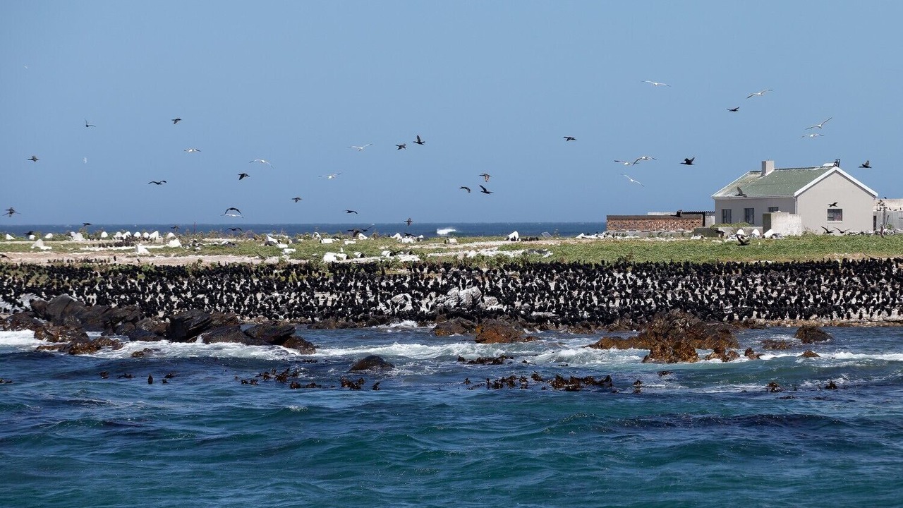 Photo of Others in Van Dyks Bay