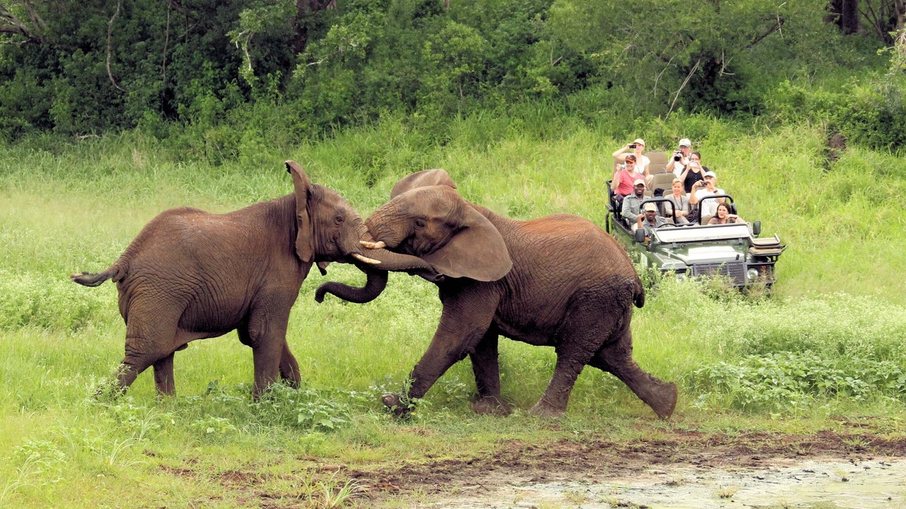 Photo of Others in Hluhluwe