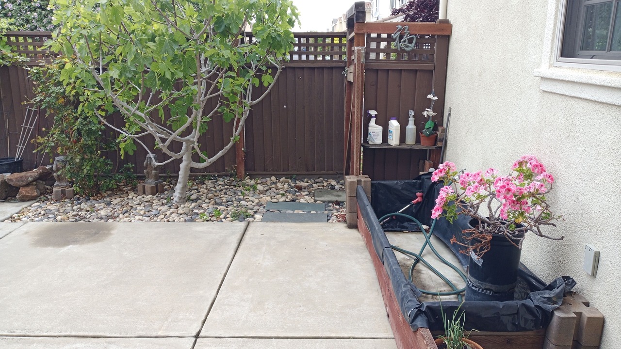 Photo of Outdoor in West Alameda