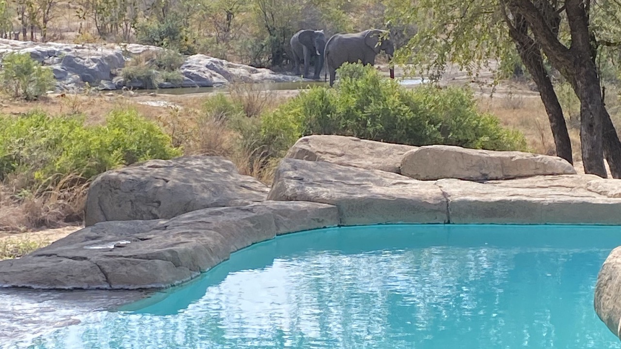 Photo of Outdoor in Thorny Bush Game Reserve