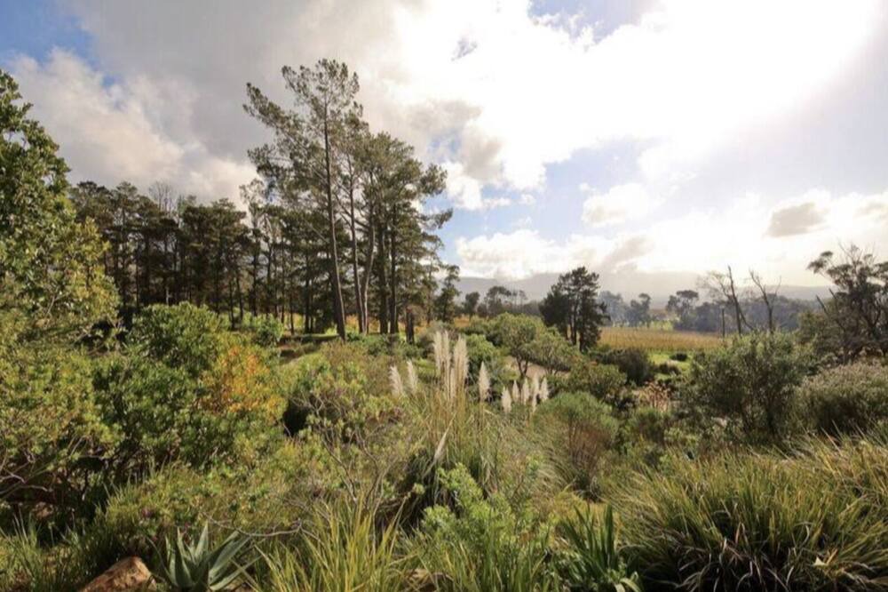 Photo of Outdoor in Steenberg Estate