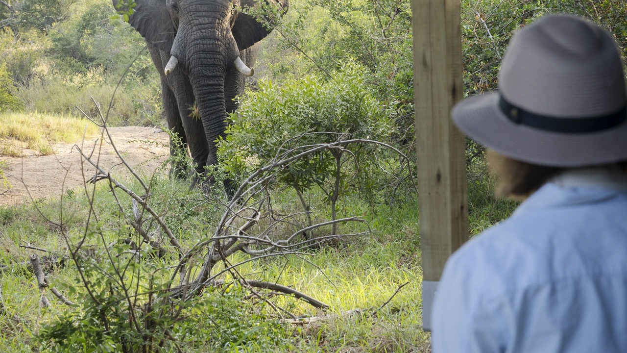 Photo of Others in Thorny Bush Game Reserve