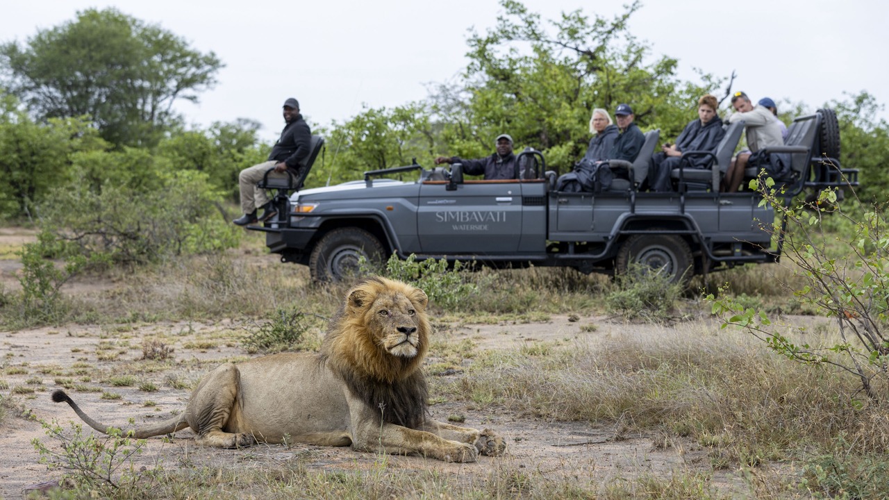 Photo of Others in Thorny Bush Game Reserve