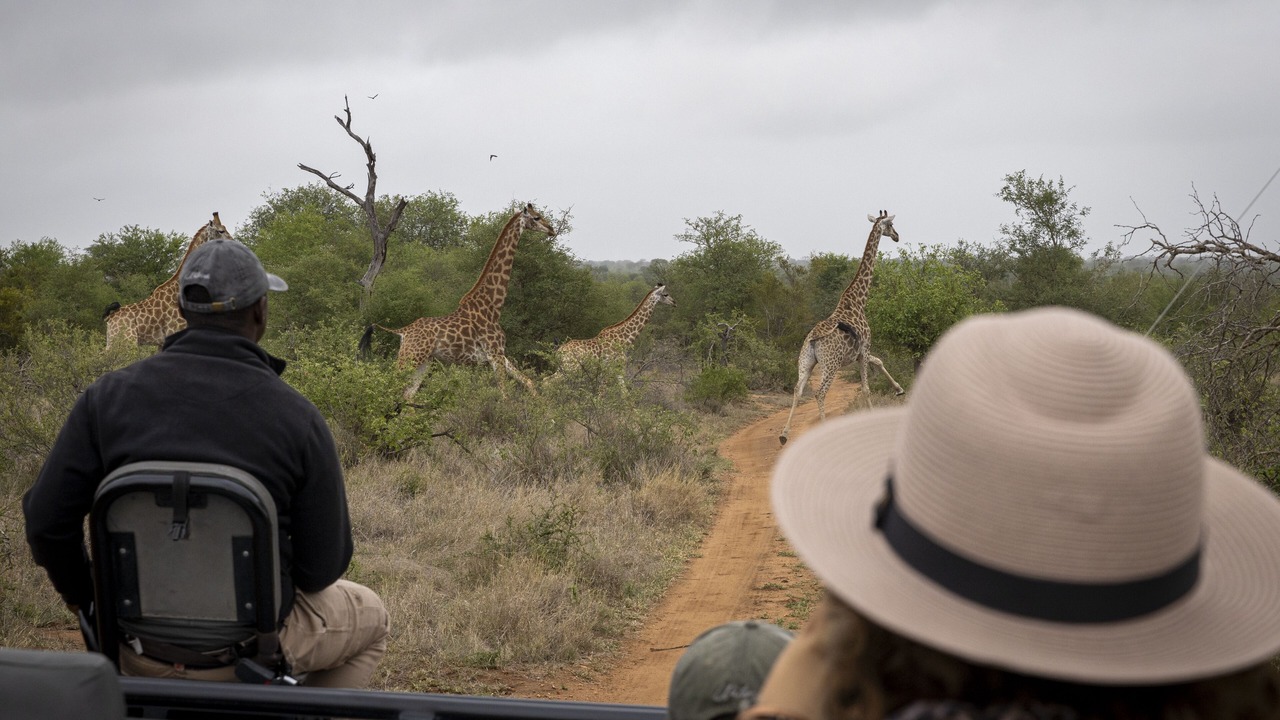 Photo of Others in Thorny Bush Game Reserve
