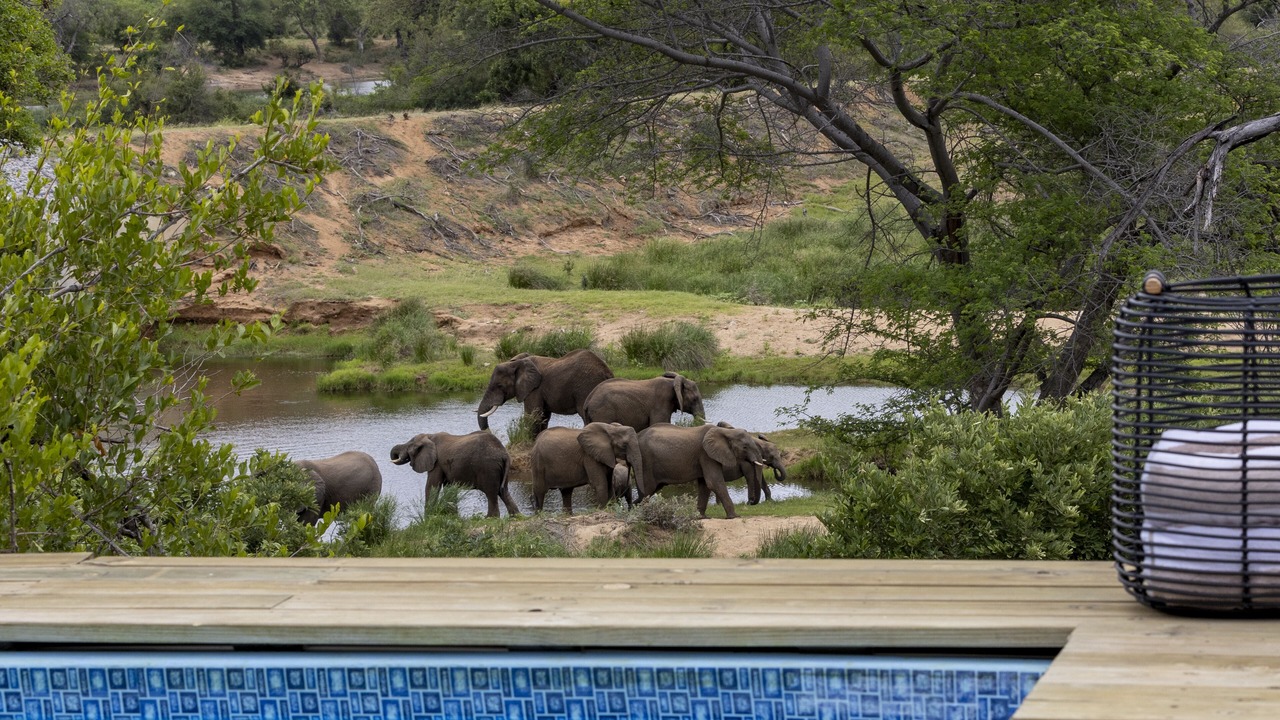 Photo of Outdoor in Thorny Bush Game Reserve