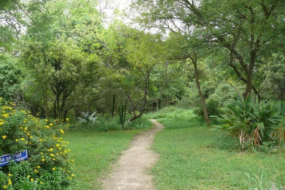 Photo of Outdoor in Thorny Bush Game Reserve