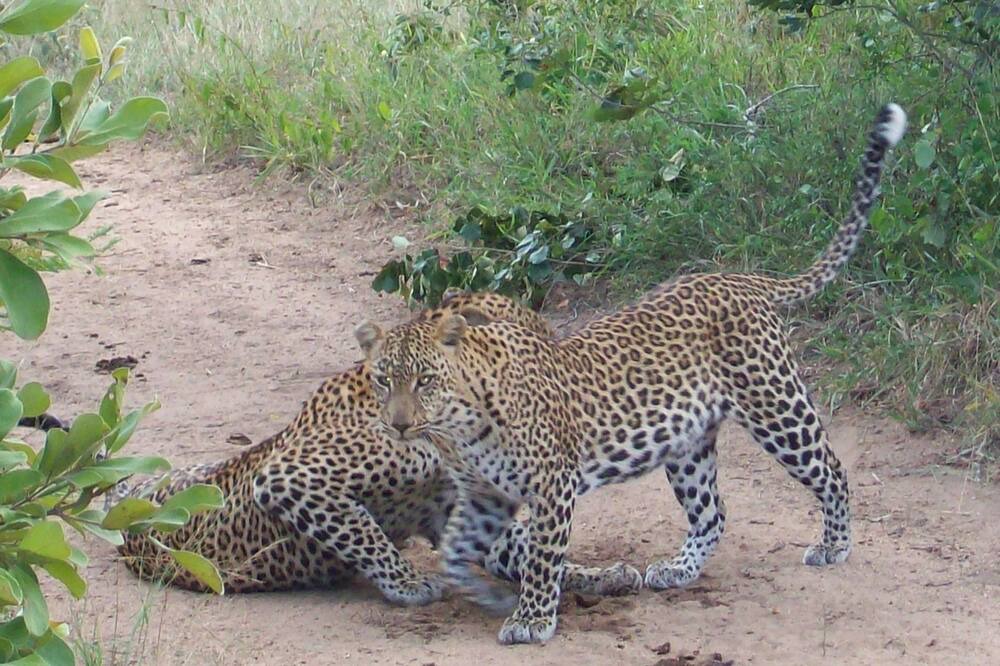 Photo of Outdoor in Thorny Bush Game Reserve
