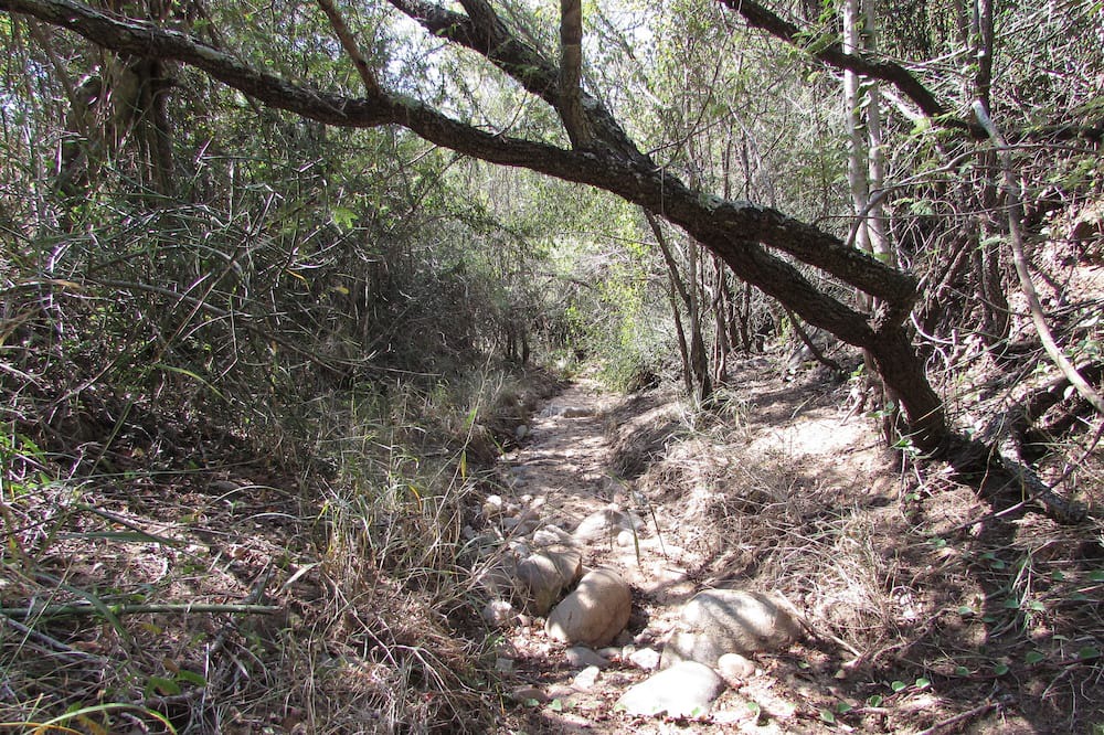Photo of Outdoor in Thorny Bush Game Reserve