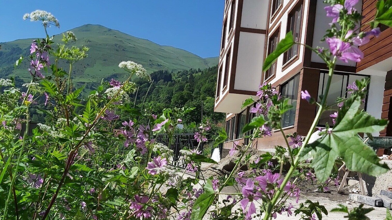 Photo of Outdoor in Hamsikoy