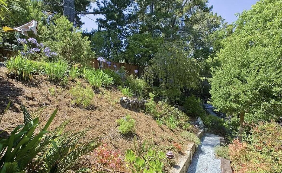 Photo of Outdoor in Hillsborough Hills