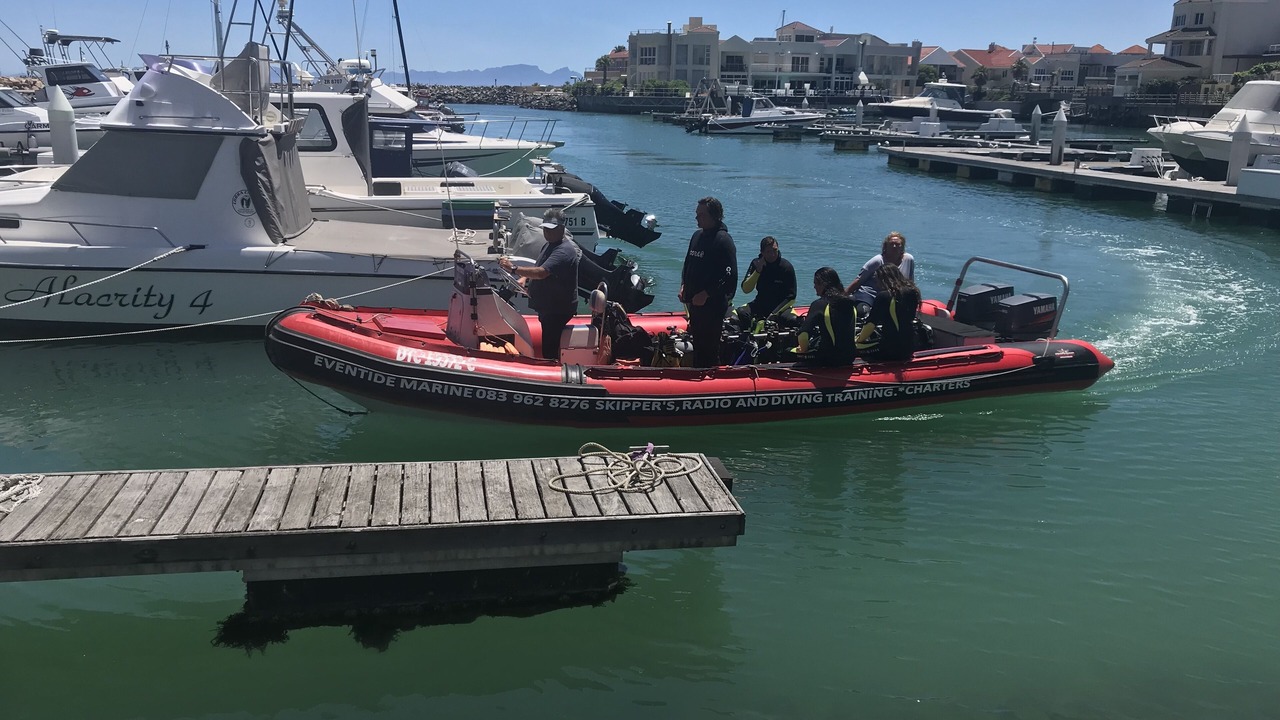 Photo of Others in Gordon's Bay