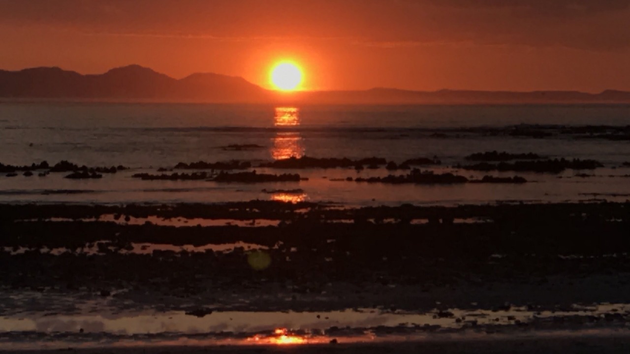Photo of Others in Gordon's Bay