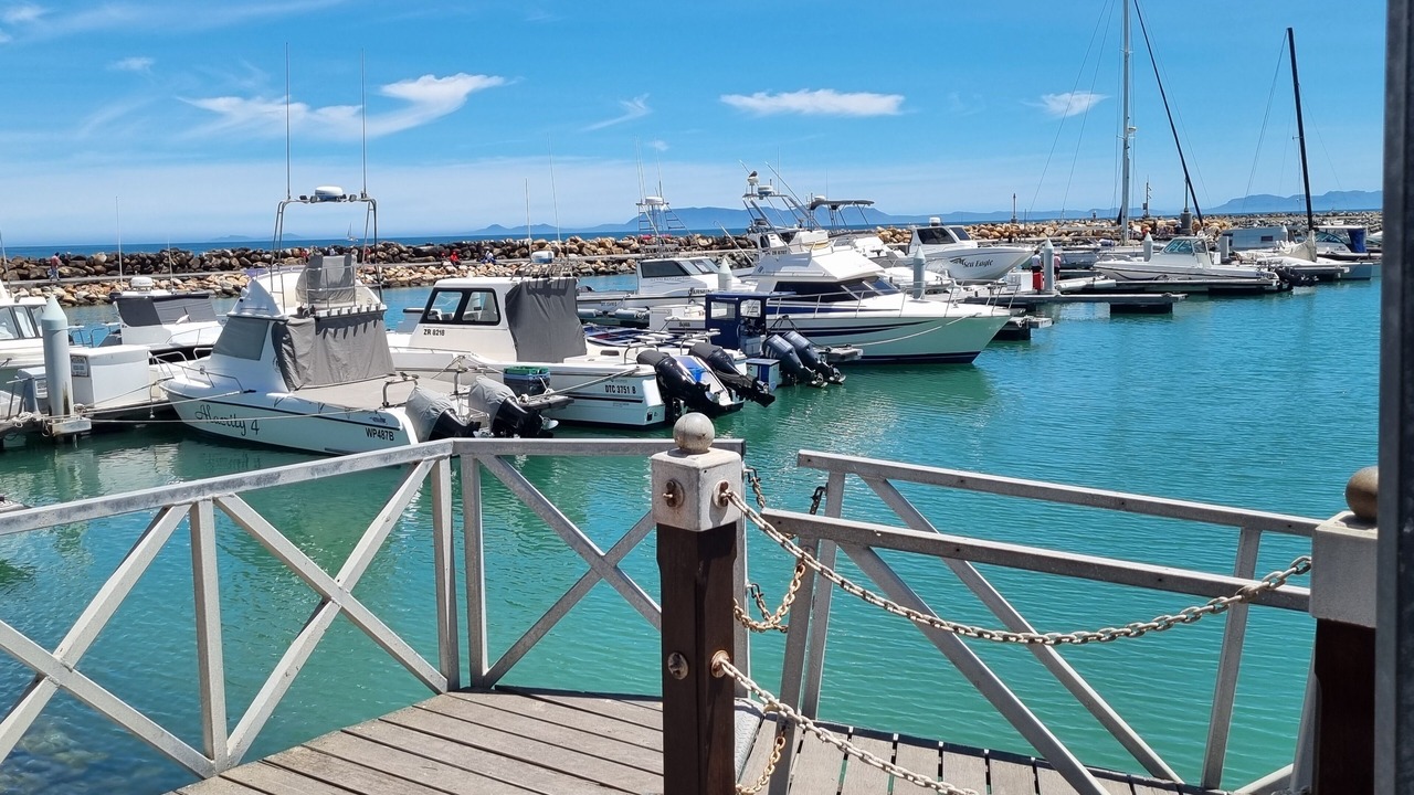 Photo of Others in Gordon's Bay