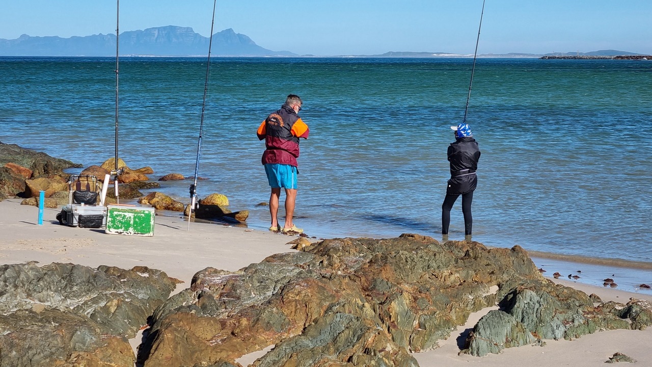 Photo of Others in Gordon's Bay