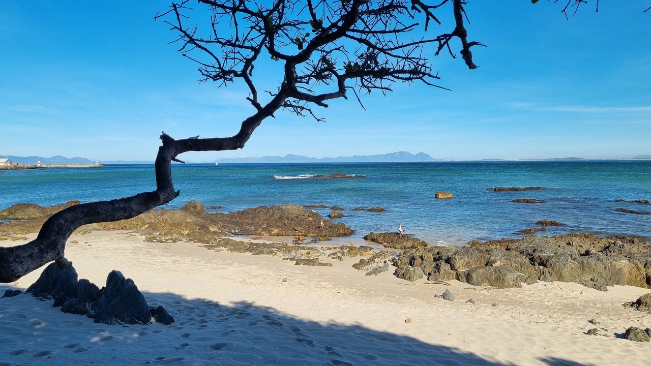 Photo of Others in Gordon's Bay