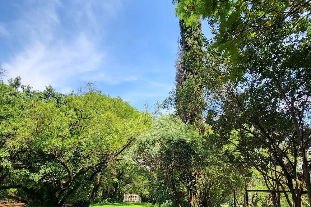 Photo of Outdoor in Pretoria