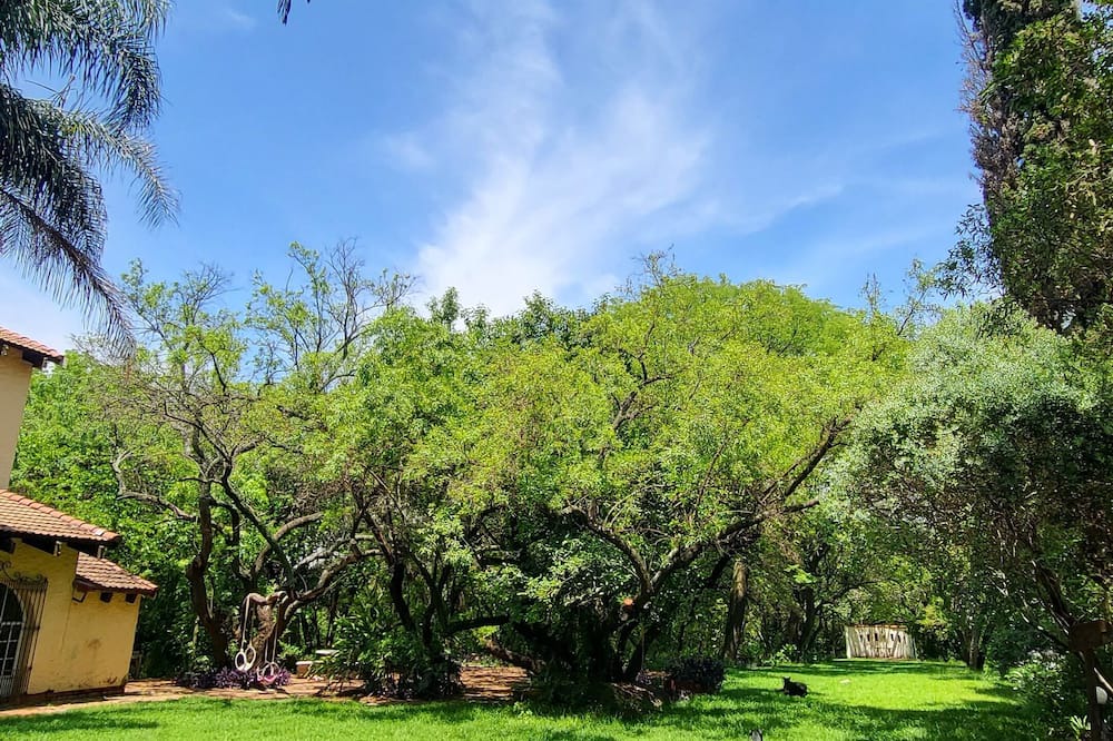 Photo of Others in Pretoria